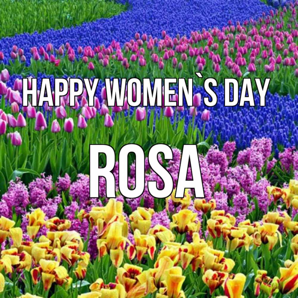Greetings card с именем, Rosa happy women`s day цветы Greetings with text for free download 